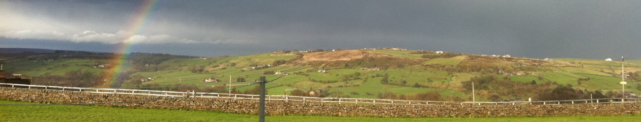 therainboweggcompany.co.uk 